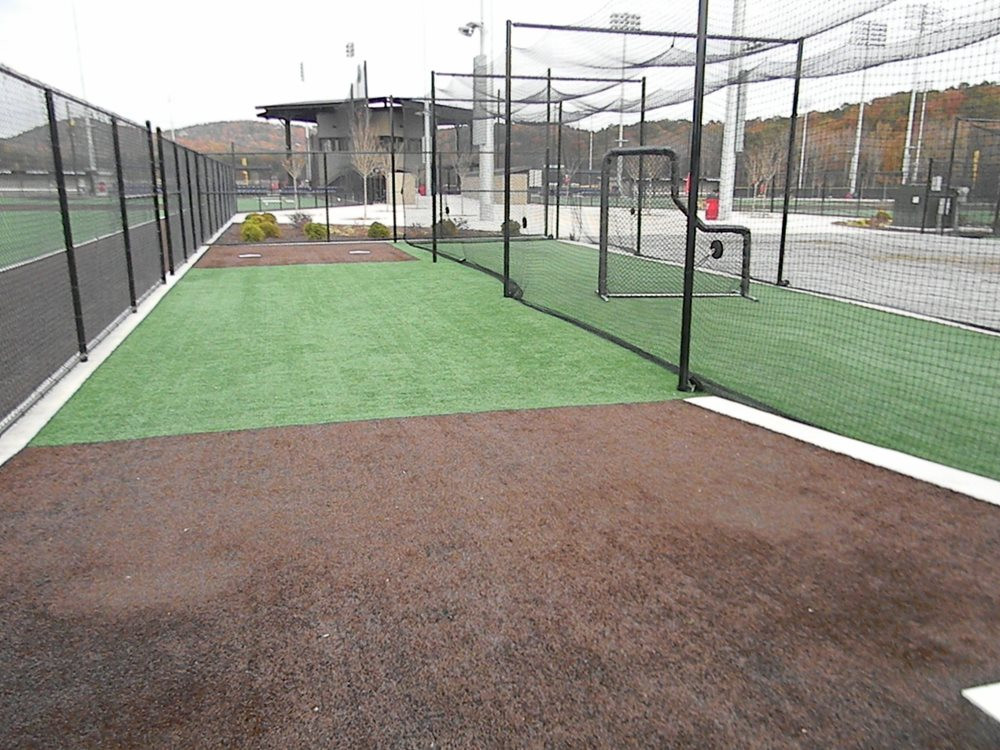 Fresno artificial turf batting cage